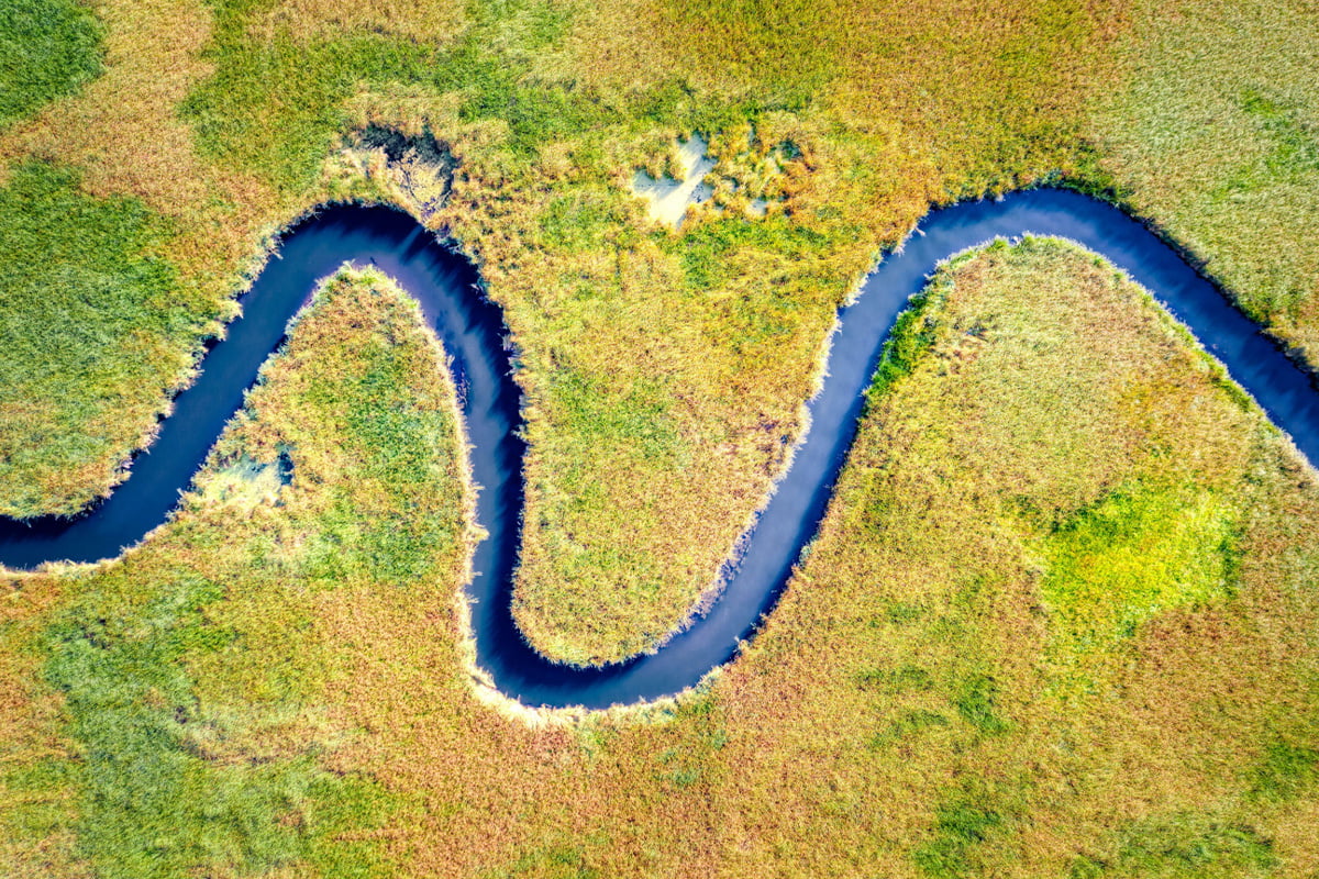 Aerial view of a winding river meandering through a lush, green marshland, with bright grasses and natural patterns.