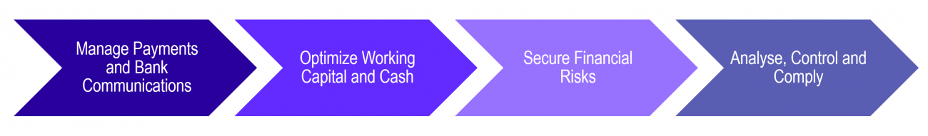 Treasury and Cash Management