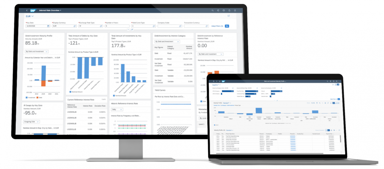 SAP Financial Accounting